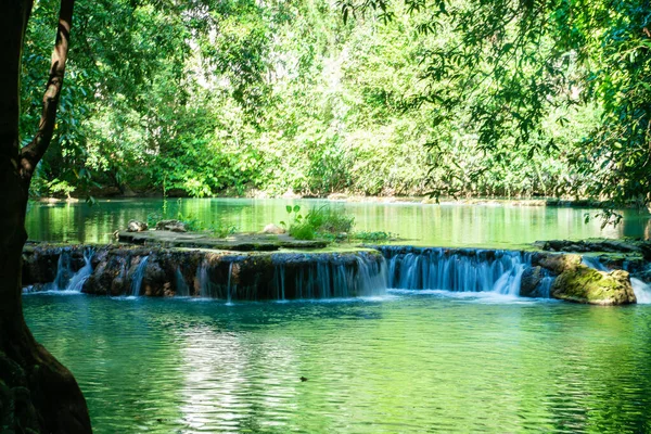 Waterfall Deep Tropical Rain Forest Green Tree Nature Scenery — Stockfoto