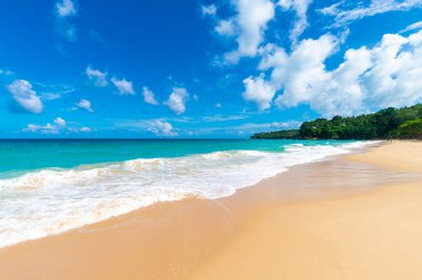 White sand tropical beach blue sky with cloud nature vacation