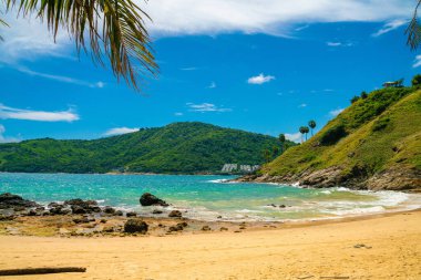 Palm coconut tree on sea beach white sand blue sky summer vacation