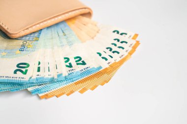 Beyaz arka plan iş finans nesnesinde deri cüzdanda çeşitli euro para