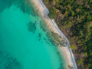 Tropikal orman adası yaz tatili arka planına sahip deniz manzaralı turkuaz su