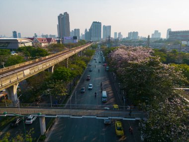 Chatuchak şehir parkında yol ve bts gökyüzü treni Bangkok Tayland 'da hava manzaralı pembe çiçek.