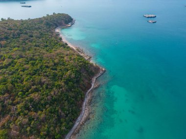 Tropikal orman adası yaz tatili arka planına sahip deniz manzaralı turkuaz su
