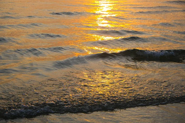 해변의 황금빛 해수욕장 — 스톡 사진