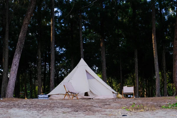 Familie Camping Zelt Strand Mit Kiefernwald Sommer Urlaub Natur Hintergrund — Stockfoto