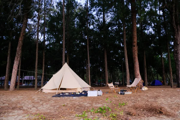 Familie Camping Tent Aan Het Strand Met Dennenbos Zomer Vakantie — Stockfoto
