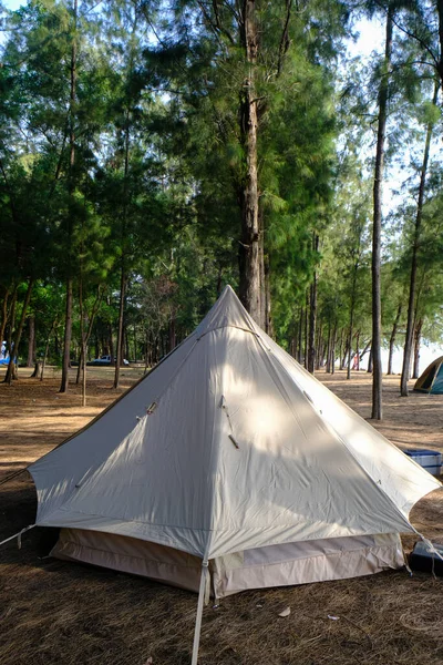 Família Barraca Acampamento Frente Praia Com Floresta Pinheiros Verão Férias — Fotografia de Stock