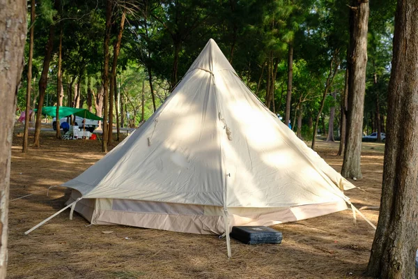 带松树林的海滨家庭露营帐篷暑假自然背景 — 图库照片