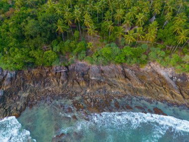 Hindistan cevizi güneş batımlı turkuaz deniz dalgası yaz tatili arka planında