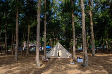 Çam ormanlarında yaz tatilinde sahilde kamp çadırı.