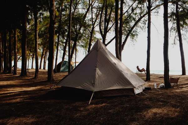 Camping Barraca Praia Pinhal Natureza Paisagem Verão Férias — Fotografia de Stock