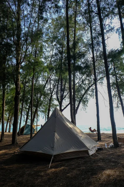 Camping Stan Pláži Borovém Lese Příroda Krajina Letní Dovolená — Stock fotografie