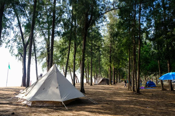 Camping Stan Pláži Borovém Lese Příroda Krajina Letní Dovolená — Stock fotografie