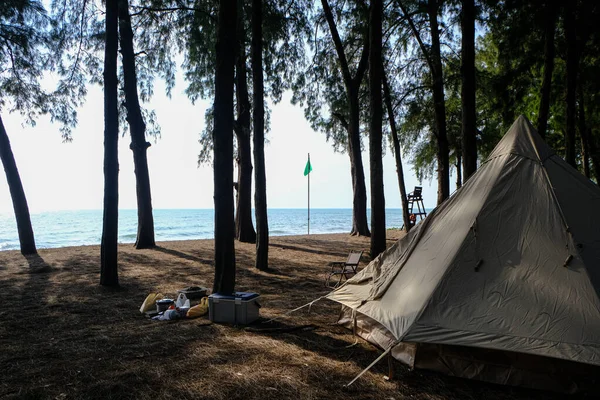 Camping Barraca Praia Pinhal Natureza Paisagem Verão Férias — Fotografia de Stock