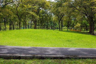 Yeşil şehir parkındaki patika Ağaç Ormanı Doğa Alanı