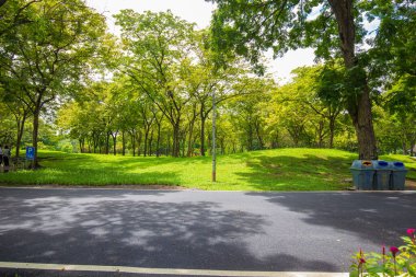 Yeşil şehir parkındaki patika Ağaç Ormanı Doğa Alanı