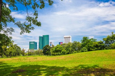 Ağaçtaki yeşil çayır çimenler halk parkında tropikal orman mavi gökyüzü bulutlu