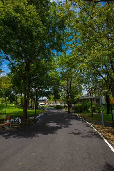 绿城公园林立自然景观中的小径路 — 图库照片