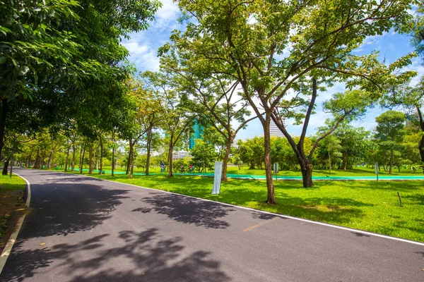 Caminho Estrada Verde Cidade Parque Árvore Floresta Natureza Paisagem — Fotografia de Stock