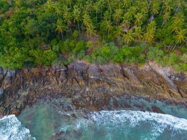 Hindistan cevizi güneş batımlı turkuaz deniz dalgası yaz tatili arka planında