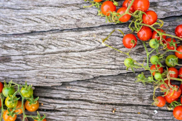 Fresh Harvest Organic Farm Ripe Small Tomatoes Wood Background — Stock Photo, Image