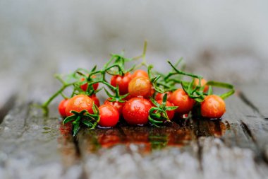 ahşap masa üzerinde taze organik kırmızı domates