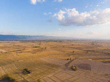 Hava manzaralı pirinç toprağı çeltik pirinç tarımı tarım endüstrisini hazırlayın.