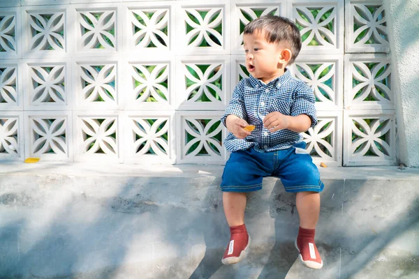 Küçük Asyalı Çocuk Bahçede Oynuyor Kahve Parkında Doğada Mutlu Zaman — Stok fotoğraf