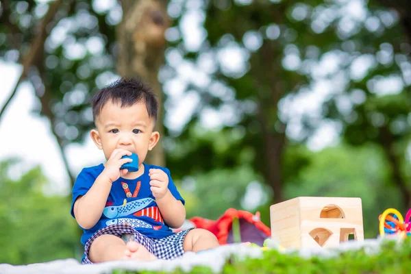 Peuter Aziatische Jongen Spelen Met Houten Speelgoed Stadspark Outdoor Activiteit — Stockfoto