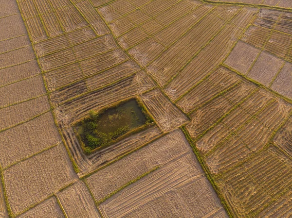 从空中看稻田土壤准备稻田农业 — 图库照片