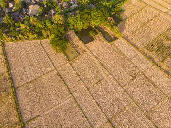 从空中看稻田土壤准备稻田农业 — 图库照片