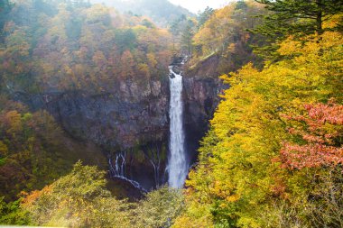 Sonbahar sezonunda renkli sonbahar ağacı ormanları olan Kegon Şelaleleri, Nikko, Japonya
