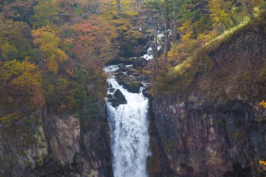 Sonbahar sezonunda renkli sonbahar ağacı ormanları olan Kegon Şelaleleri, Nikko, Japonya