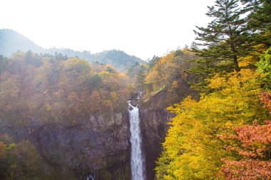 Sonbahar sezonunda renkli sonbahar ağacı ormanları olan Kegon Şelaleleri, Nikko, Japonya