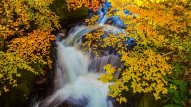 Nikko Nippon Ryuzu şelale ile sonbahar renkli yaprakları, Nikko şehir olduğunu