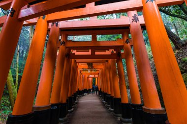 Red tori gate pathway in Fushimi inari shrine of Kyoto, Japan