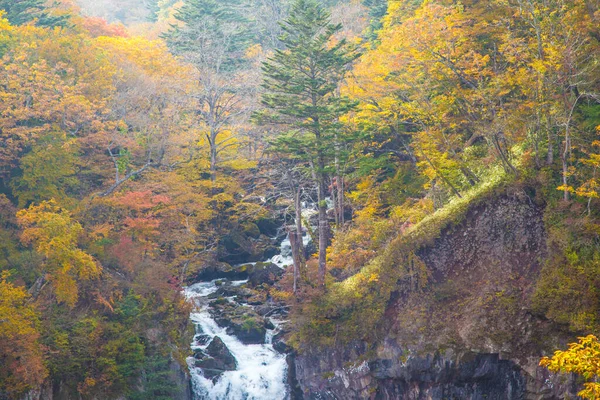 Kegon Falls Colorful Autumn Tree Forest Autumn Season Nikko Japan — стоковое фото