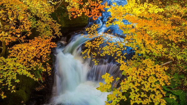Nikko Ist Nippon Ryuzu Wasserfall Mit Herbstlichen Bunten Blättern Nikko — Stockfoto