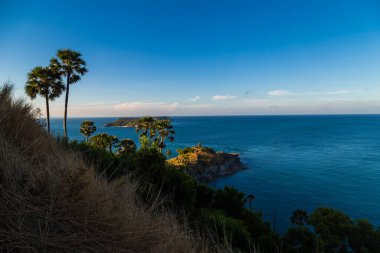 Phuket körfezi sabah manzaralı palmiye ağacı turkuaz suyla