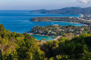 Phuket körfezi sabah manzaralı palmiye ağacı turkuaz suyla