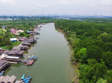Aerial view traditional village in green tropical mangrove forest nature landscape