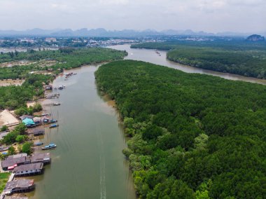 Aerial view traditional village in green tropical mangrove forest nature landscape