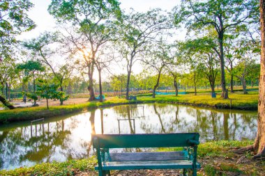 Şehir parkında gün batımında yeşil ağaçlı doğa manzarası