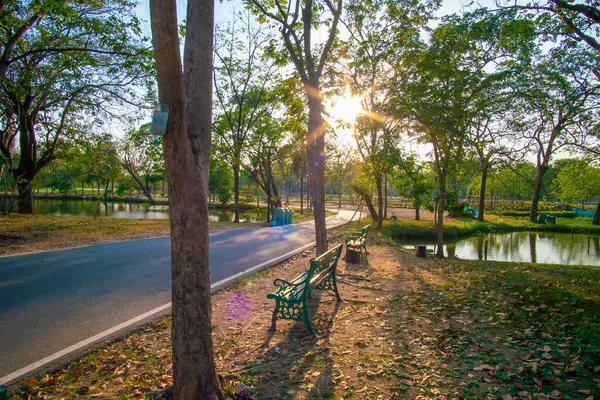 Stock image Sunset light in city public park with green tree forest nature landscape