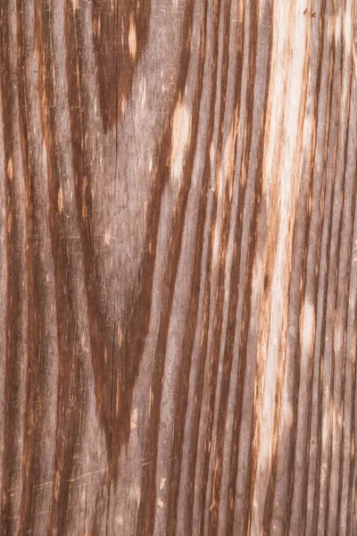 Texture Vecchio Uso Vero Legno Corteccia Come Sfondo Naturale — Foto Stock