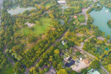 Sathorn bölgesi SBangkok 'taki Lumpini Park' taki yeşil ağaçların havadan görünüşü. Gökdelen binaları