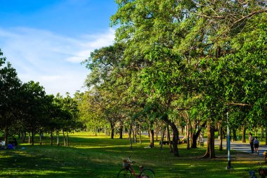 Mavi gökyüzüne karşı yeşil ağaç şehri çayırı.