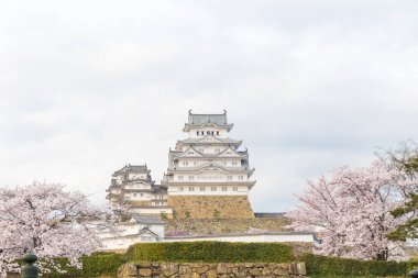 Sakura çiçekli Himeji kalesi, Hyogo şehri manzarası.