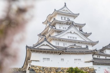 Sakura çiçekli Himeji kalesi, Hyogo şehri manzarası.