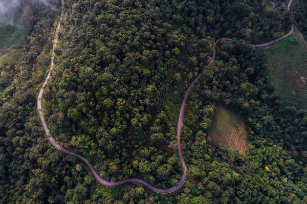 stock image Beautiful rural road on the deep forest mountain green tree background aerial view